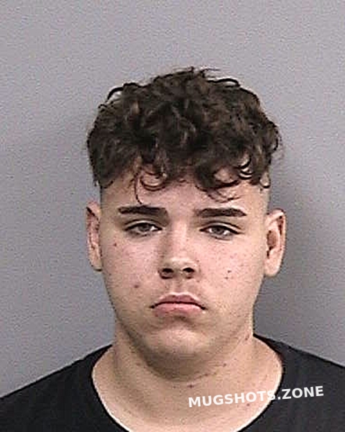 Melendez Miguel A Manatee County Mugshots Zone