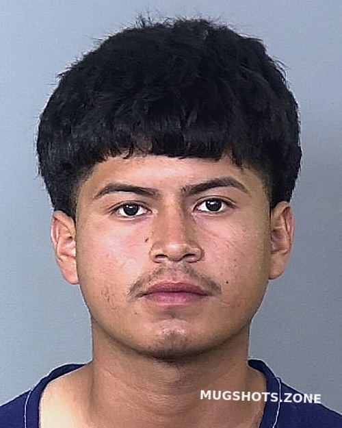 SANTANA SANTANA IVAN 06 10 2023 Manatee County Mugshots Zone