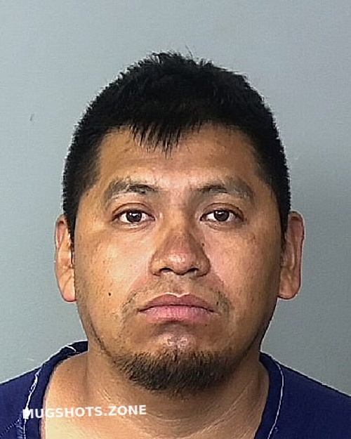 Quiroz Juarez Saul Manatee County Mugshots Zone