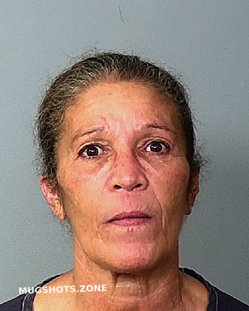 Falu Vazquez Francis Manatee County Mugshots Zone