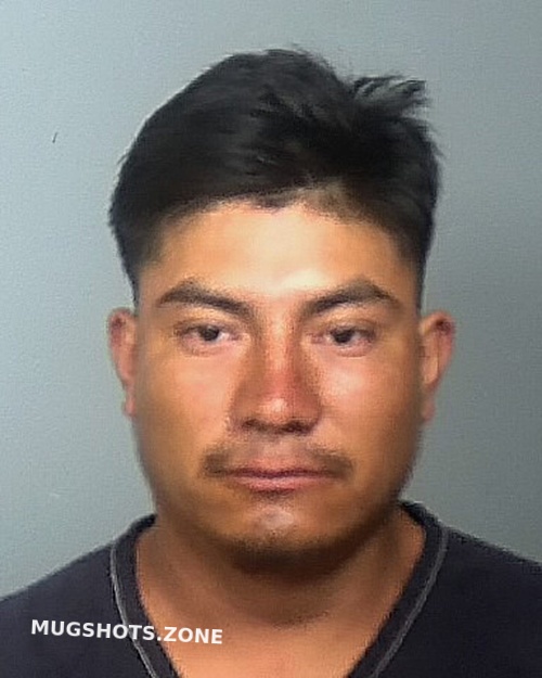 Morales Velasquez Galindo Manatee County Mugshots Zone