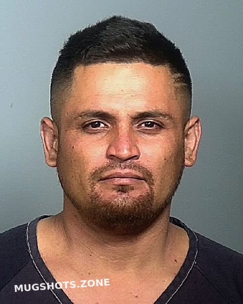 Becerra Daniel Manatee County Mugshots Zone