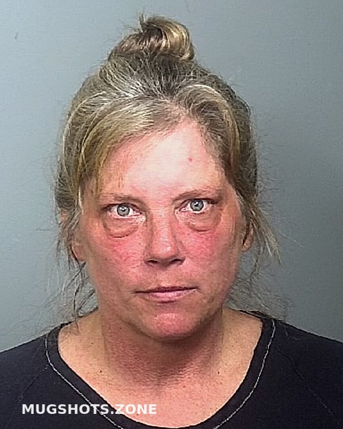 DELISI WENDY A 10 04 2023 Manatee County Mugshots Zone