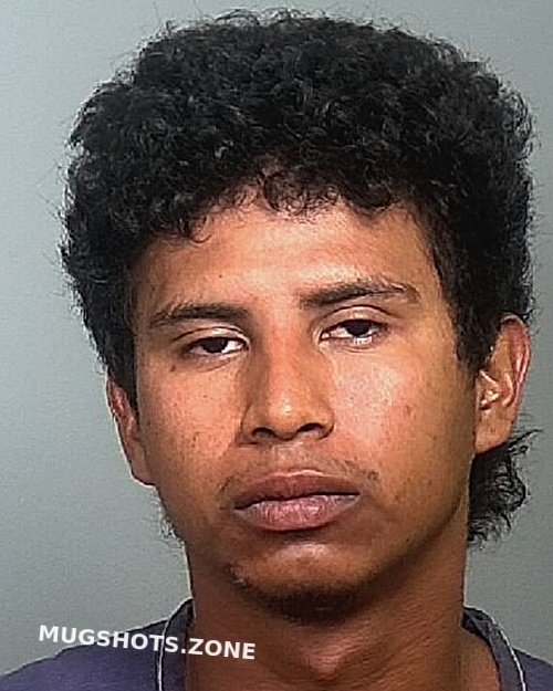 GARCIA PEREIRA ADONIS 10 14 2023 Manatee County Mugshots Zone