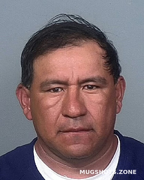 Santana Garcia Guillermo Manatee County Mugshots Zone