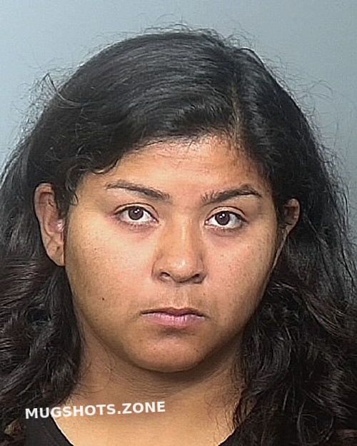 Alcoser Vanessa Manatee County Mugshots Zone