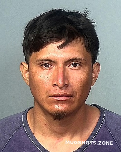 MEJIA HERNANDEZ ABEL A 10 21 2023 Manatee County Mugshots Zone