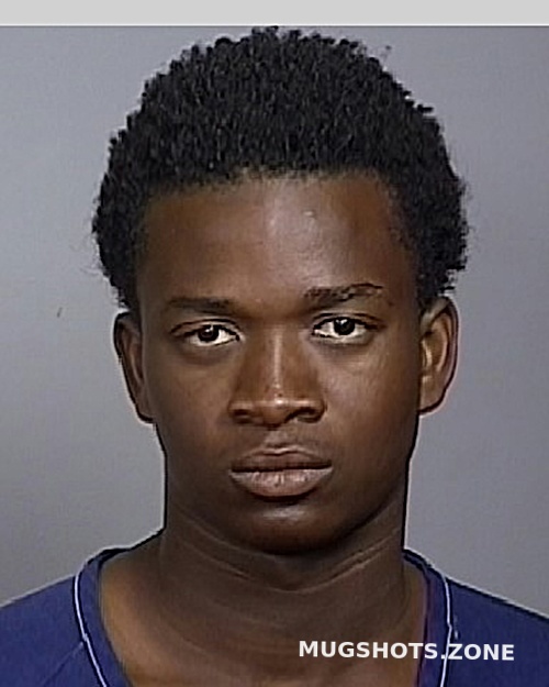 Normil Stanley Manatee County Mugshots Zone