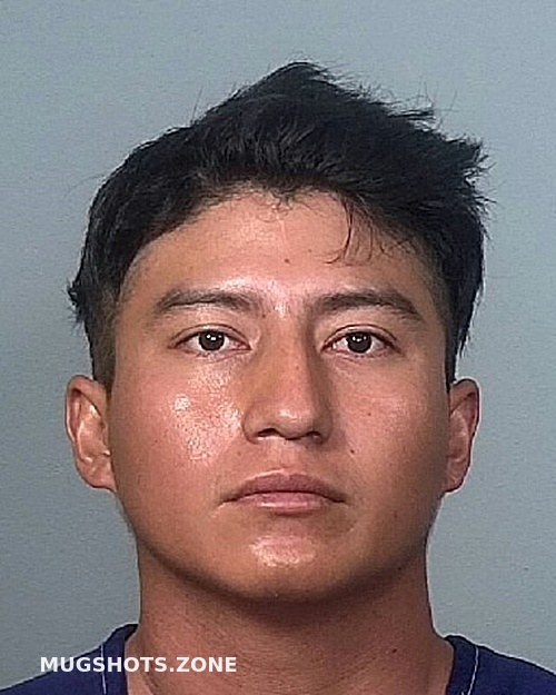 Ramon Rojas Porfirio Manatee County Mugshots Zone