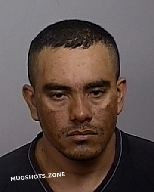 Rodriguez Delgado Edwin A Manatee County Mugshots Zone