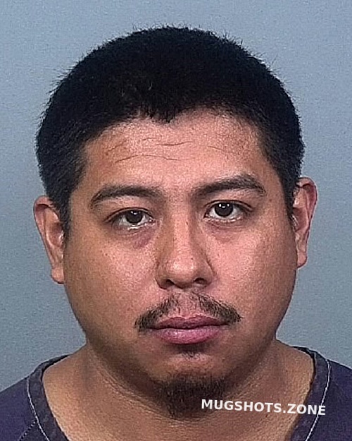 Burgos Omar Manatee County Mugshots Zone