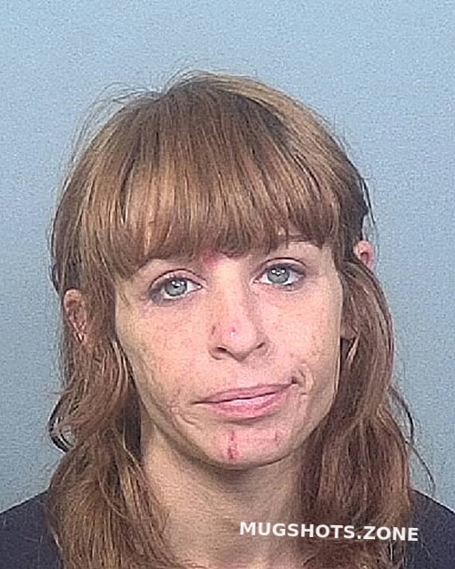 Ruby Sagan Manatee County Mugshots Zone