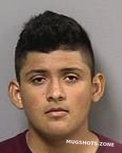 Saucedo Alfredo Manatee County Mugshots Zone