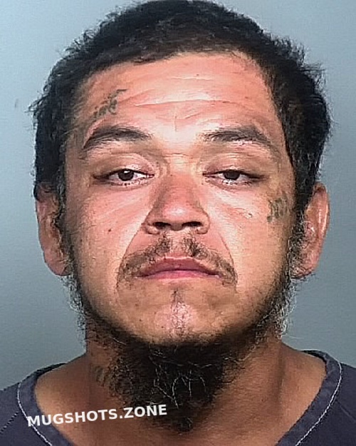 MARCELENO THEODORE 02 03 2024 Manatee County Mugshots Zone