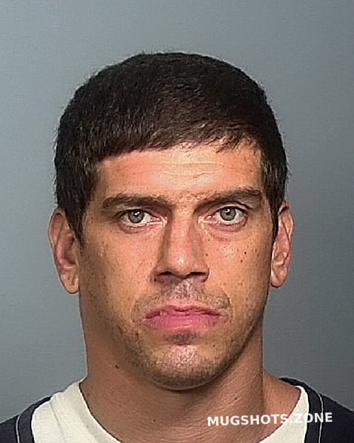 Schmidt Ryan J Manatee County Mugshots Zone