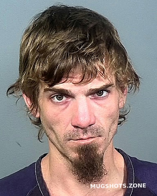 Bisbee Dylan F Manatee County Mugshots Zone