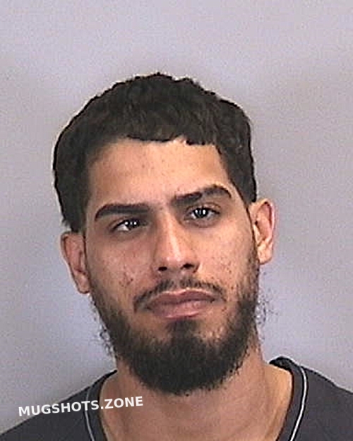 Mendez Sanchez Saul J Manatee County Mugshots Zone