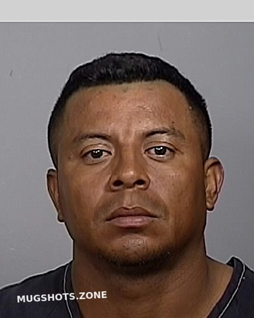 SOLORZANO SAUL 04 02 2024 Manatee County Mugshots Zone