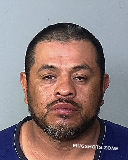 ALVARADO MALDONADO RANFERI 04 20 2024 Manatee County Mugshots Zone