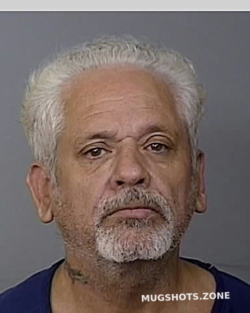 Salazar Francisco Manatee County Mugshots Zone