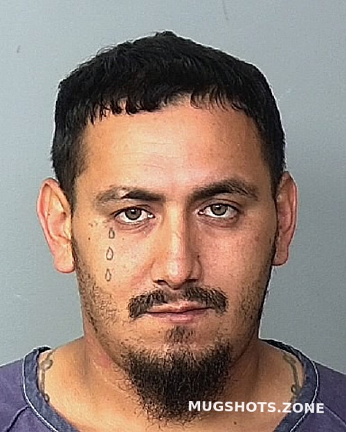 GARZA FERNANDO 04 23 2024 Manatee County Mugshots Zone