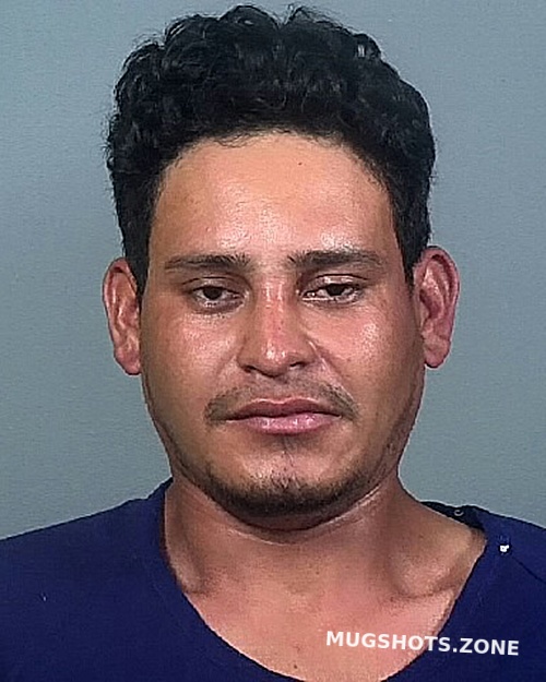 Cruz Juarez Marco A Manatee County Mugshots Zone