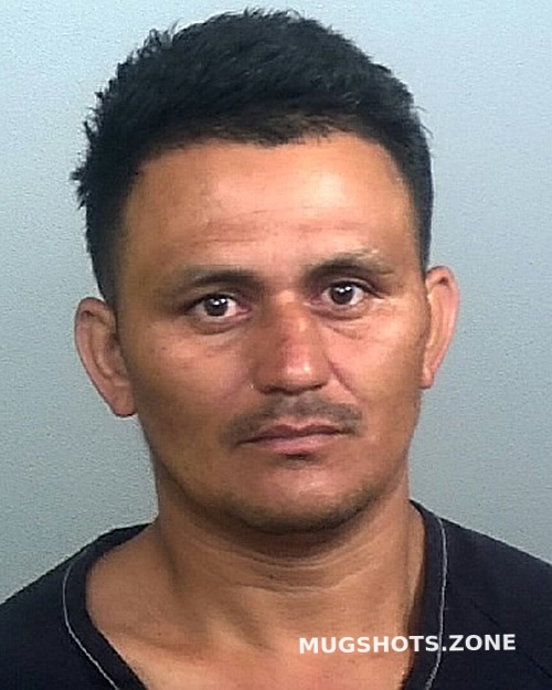 Flores Ermin Manatee County Mugshots Zone