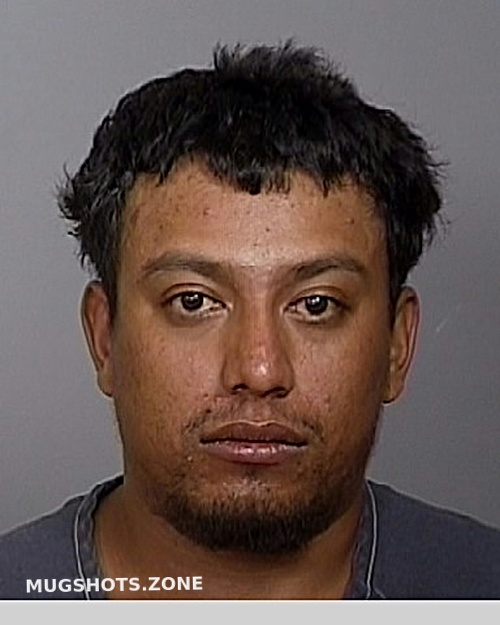 Martinez Tovar Jesus Manatee County Mugshots Zone