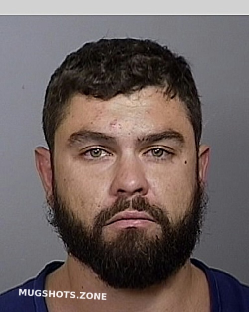 Minchev Teodor Manatee County Mugshots Zone