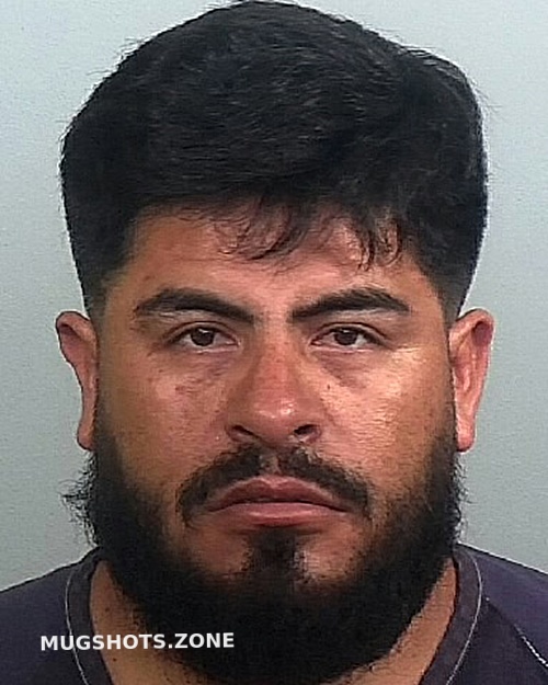 MENDOZA PALACIO ALFREDO 06 23 2024 Manatee County Mugshots Zone