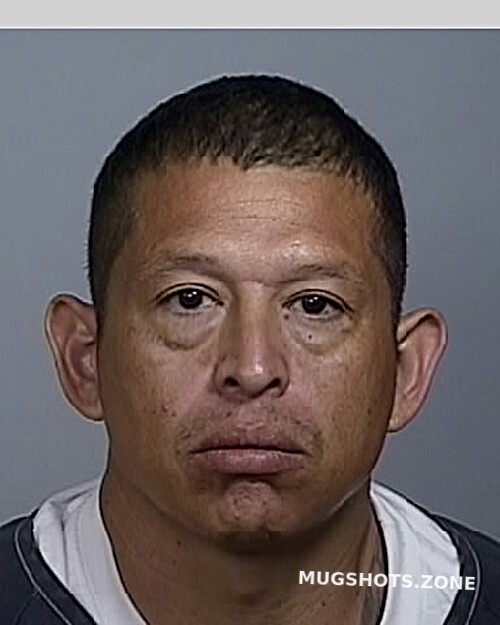 Guerrero Roberto Manatee County Mugshots Zone