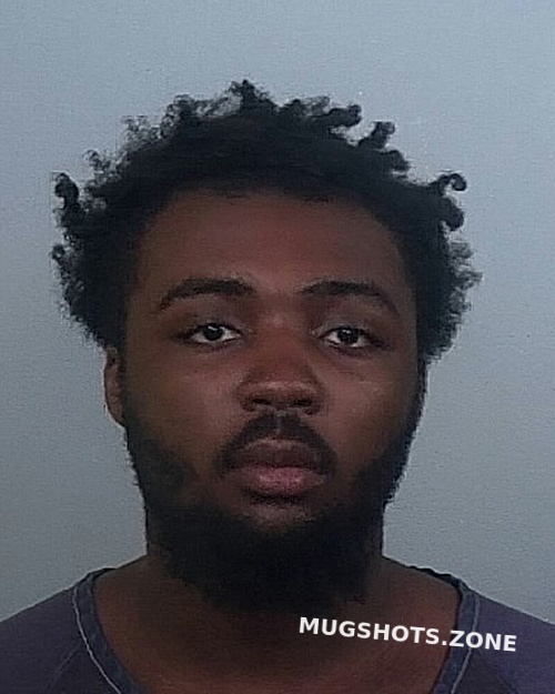 WILLIAMS MATHIAS L 07 12 2024 Manatee County Mugshots Zone