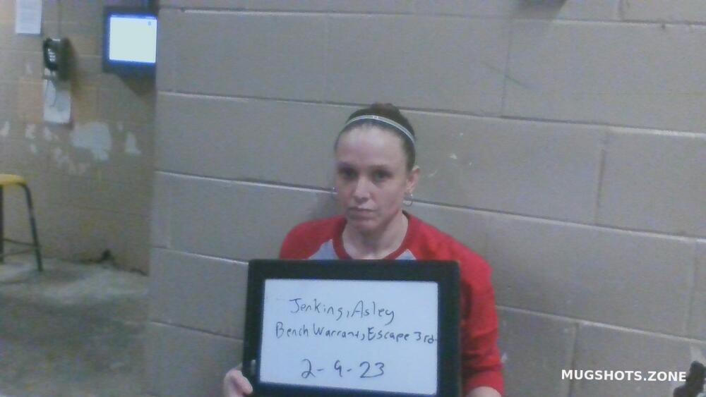 ASHLEY AMBER JENKINS 02 10 2023 Marion County Mugshots Zone