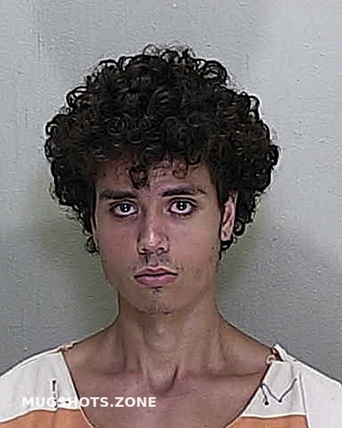 Danelli Julian Marion County Mugshots Zone