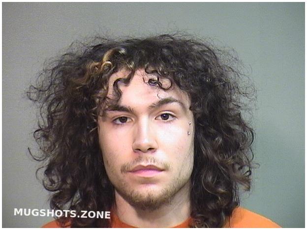 Albiter Jacob Osiel Mchenry County Mugshots Zone