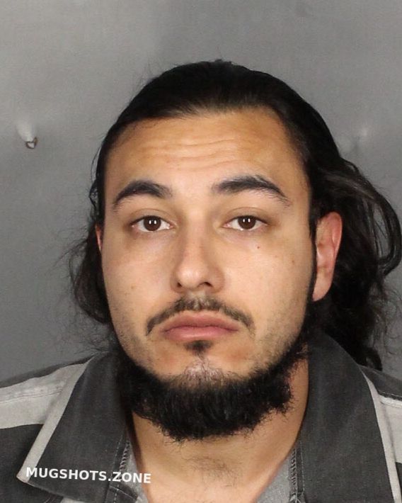 Salinas Domasio Mclennan County Mugshots Zone