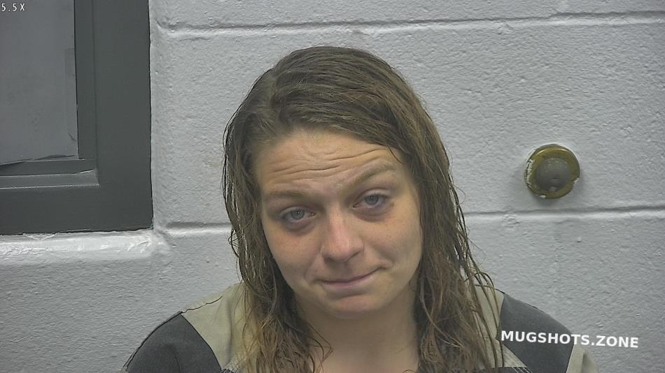 Reid Kerri Lee Meade County Mugshots Zone