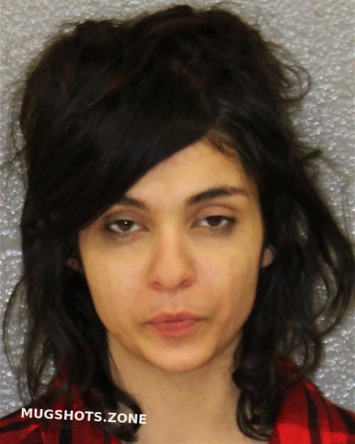 COSTEA ANA MARIA 12 29 2022 Mecklenburg County Mugshots Zone