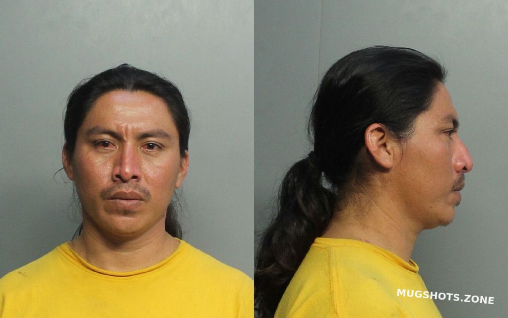 Mejia Alfredo Miami Dade County Mugshots Zone