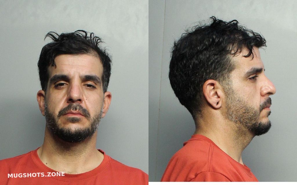 Valdes Alexander O Miami Dade County Mugshots Zone