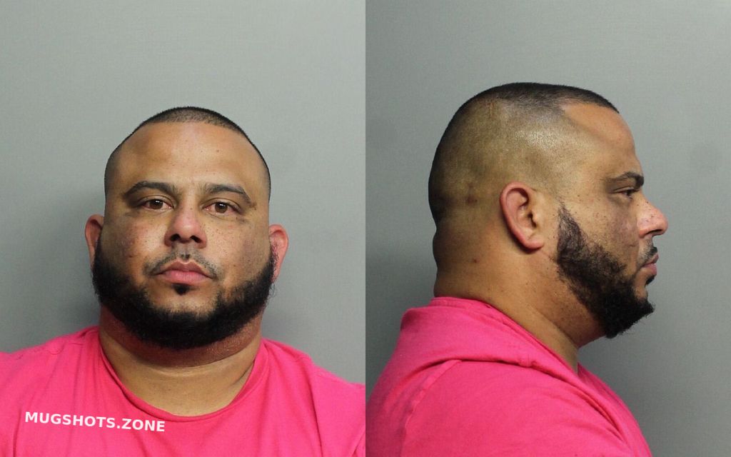 Leyva William Hamilton Miami Dade County Mugshots Zone