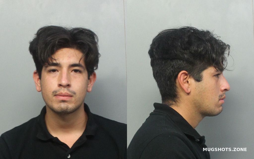 Bianchi Benedetto Paolo Miami Dade County Mugshots Zone