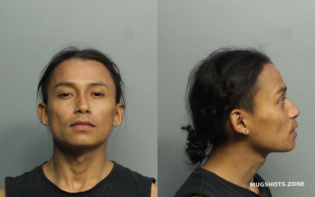 Cabrera Bryan S Miami Dade County Mugshots Zone