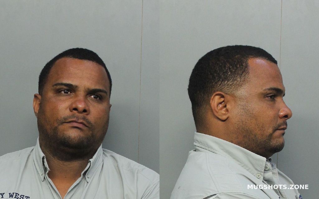 Vidal Martinez Danys Michel Miami Dade County Mugshots Zone