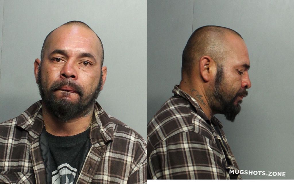 Delatorre Javier Miami Dade County Mugshots Zone