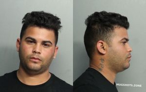 Chang Arnaldo Miami Dade County Mugshots Zone