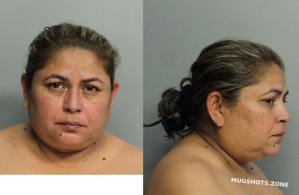 Navarro Ana C Miami Dade County Mugshots Zone