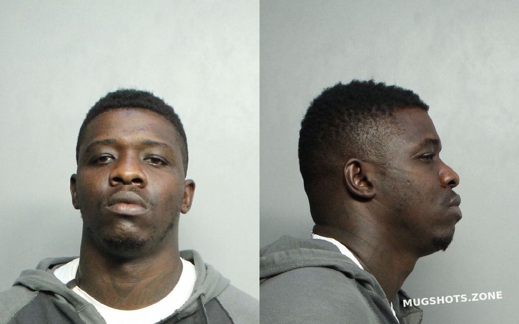 Mike Alvin Lewis Miami Dade County Mugshots Zone