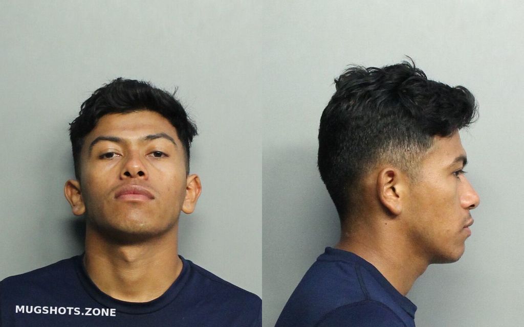 Romero Wilmer Miami Dade County Mugshots Zone