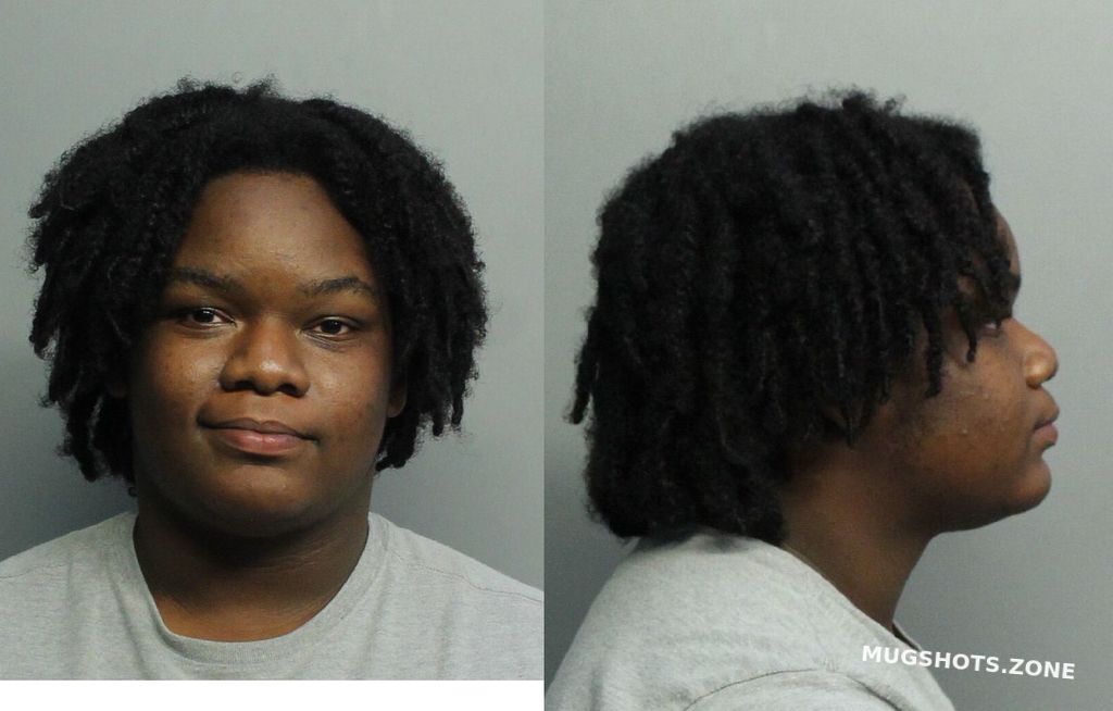 Williams Jada Miami Dade County Mugshots Zone